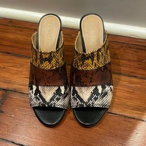 Gibson Latimer Heels